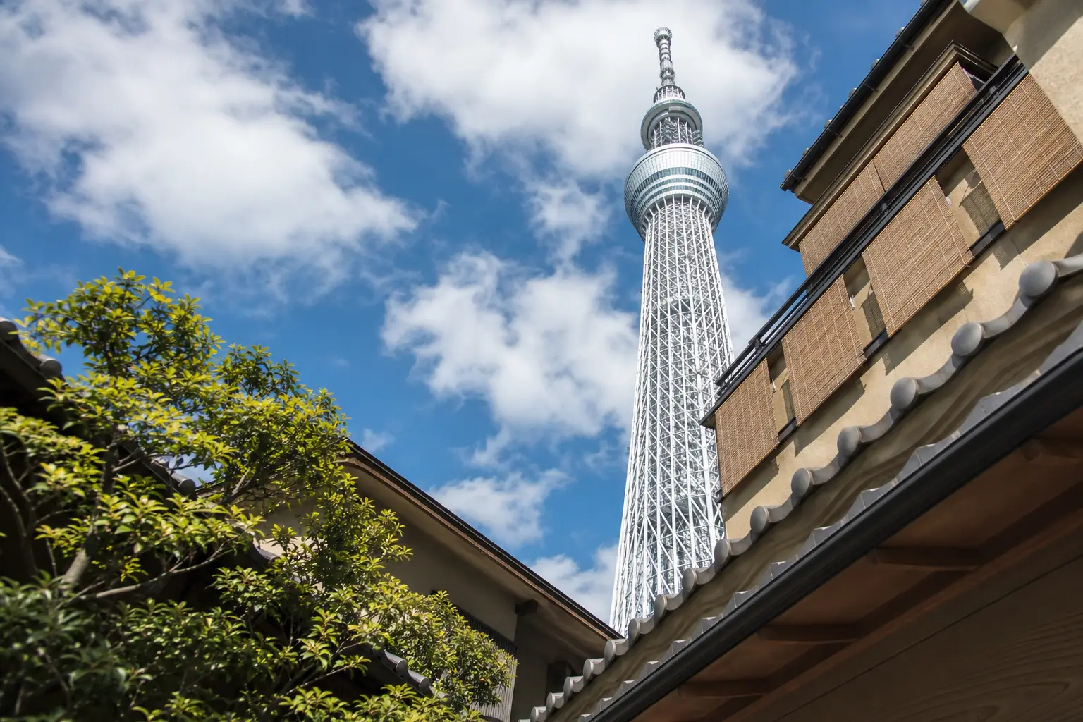 江戸川区の旅館業許可ガイド|民泊との違い・条例・申請の流れ